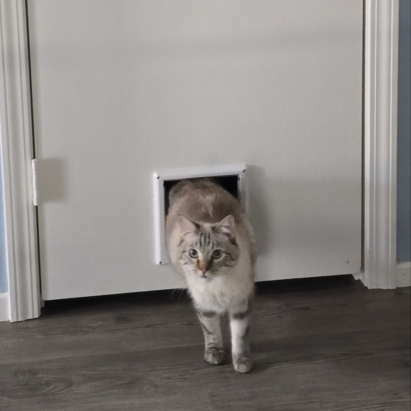 Meet your Posher, Elle - Picture 6 of 14